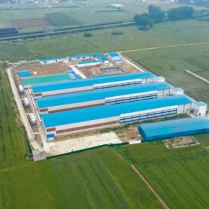 漯河市一家养殖企业获评 2023年农业农村部畜禽养殖标准化示范场