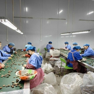 西峡双龙镇：发展食用菌产业 助推乡村振兴