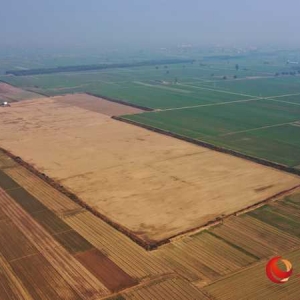 河南延津：取土变毁耕 百亩农田变“沙坑”