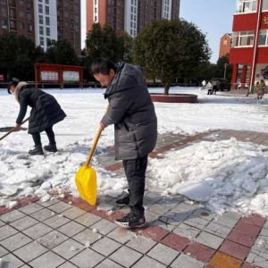 铲雪除冰，情暖校园——遂平县第六小学清雪除冰迎开学